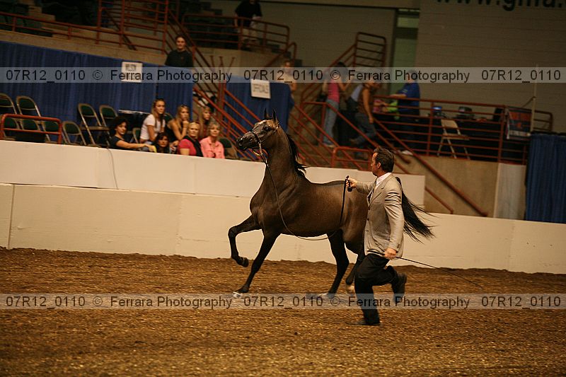 Proof 07r12_0110