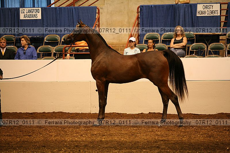 Proof 07r12_0111