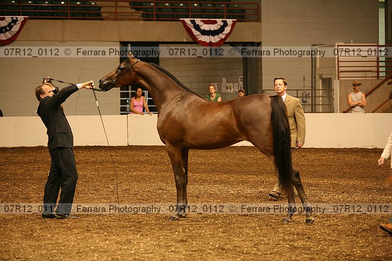 Proof 07r12_0112