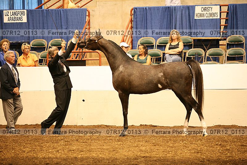 Proof 07r12_0113
