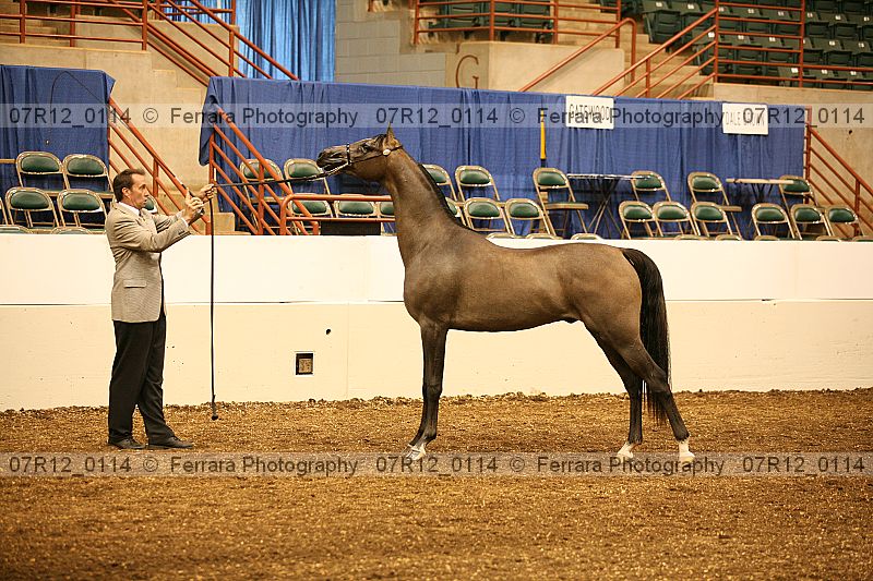 Proof 07r12_0114