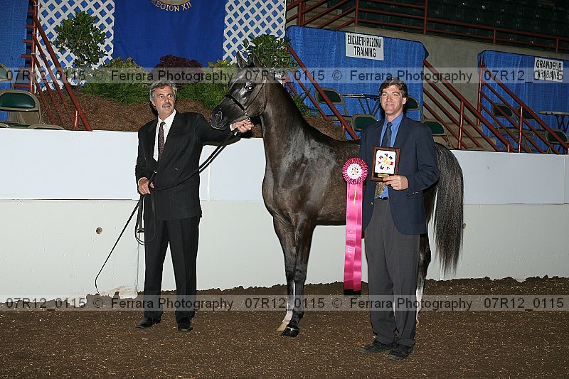 Proof 07r12_0115