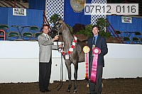 07r12_0116 proof