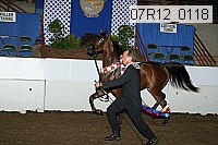 07r12_0118 proof