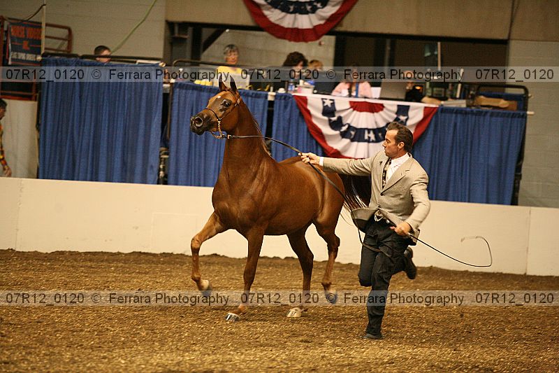 Proof 07r12_0120