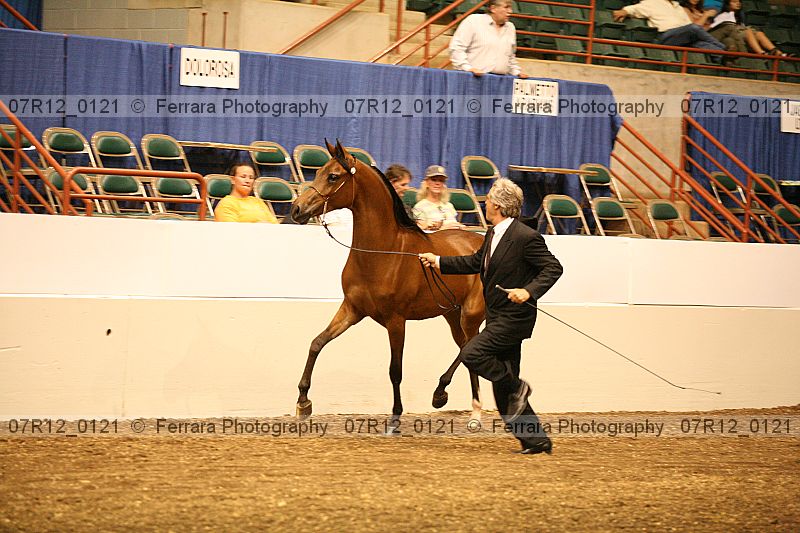 Proof 07r12_0121