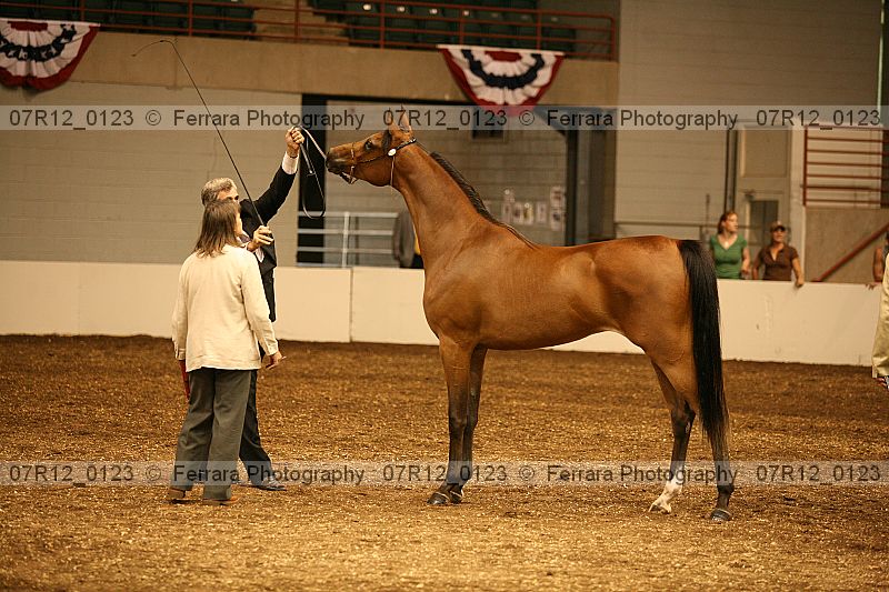 Proof 07r12_0123