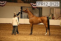 07r12_0123 proof