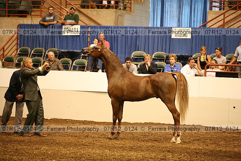 Proof 07r12_0124