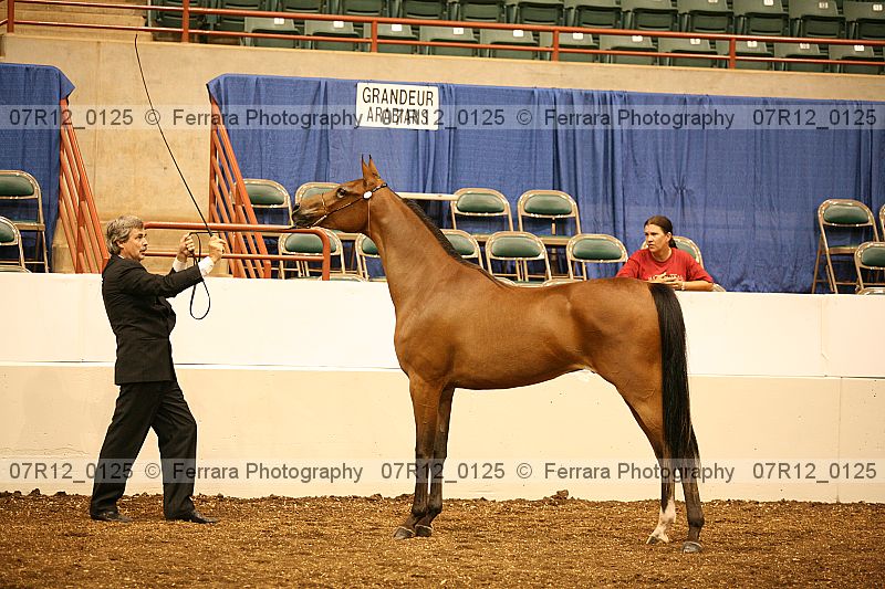 Proof 07r12_0125