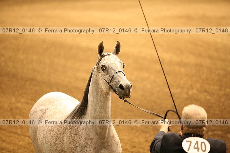 Proof 07r12_0146