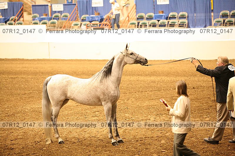 Proof 07r12_0147