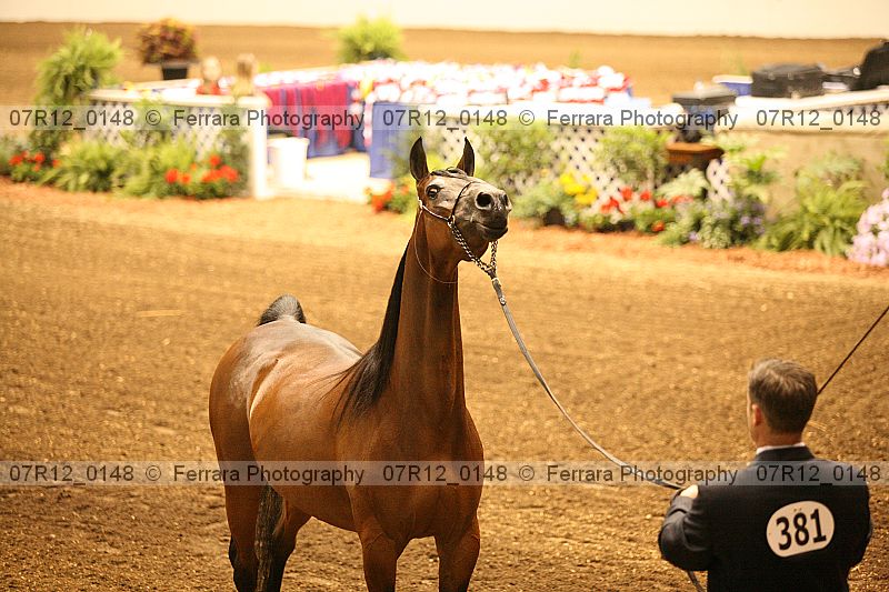Proof 07r12_0148