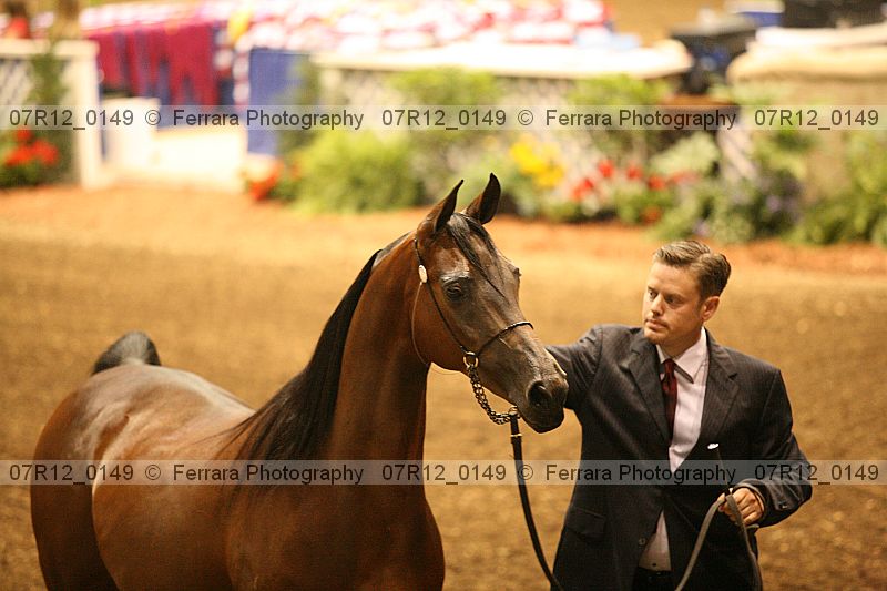 Proof 07r12_0149