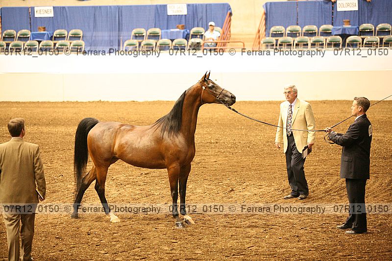 Proof 07r12_0150