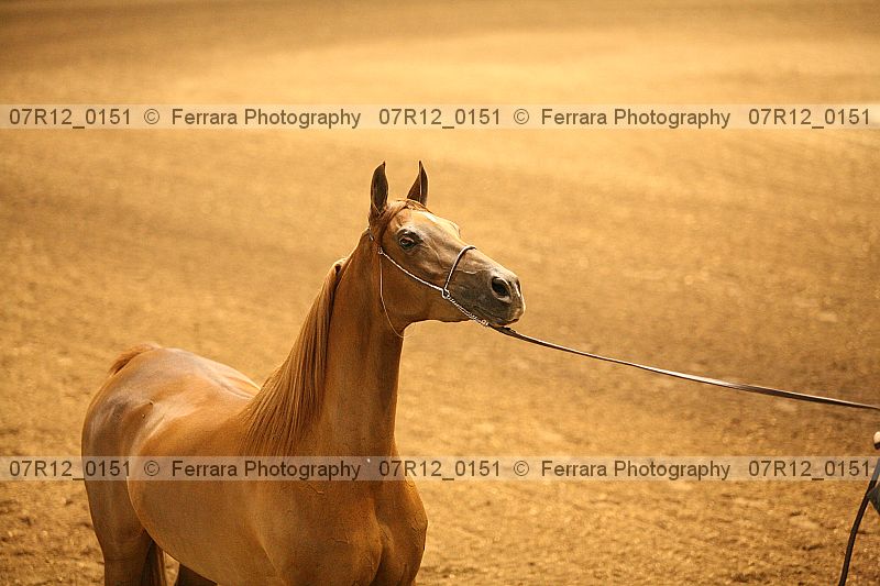 Proof 07r12_0151