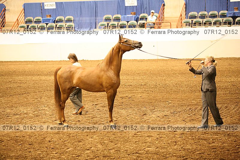 Proof 07r12_0152
