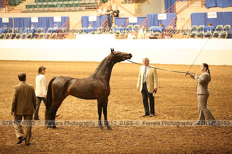 Proof 07r12_0153