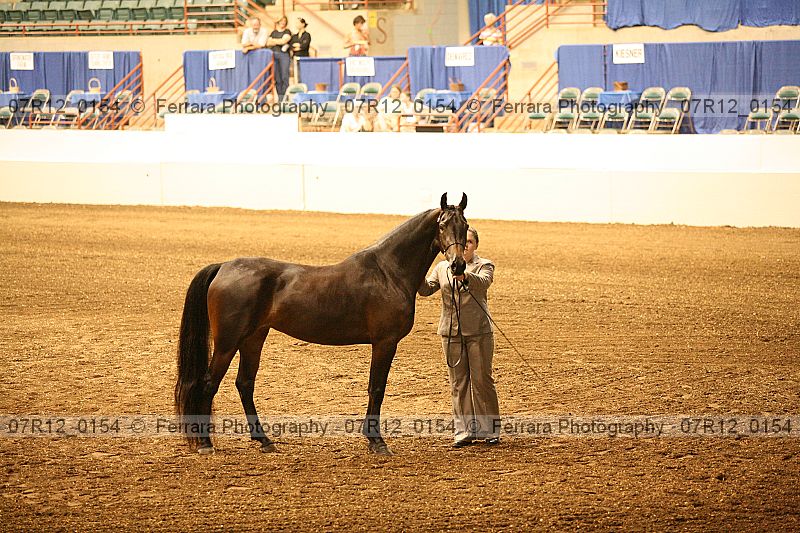 Proof 07r12_0154