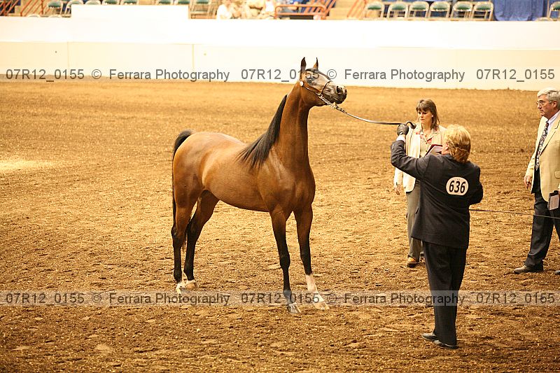 Proof 07r12_0155