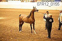 07r12_0155 proof