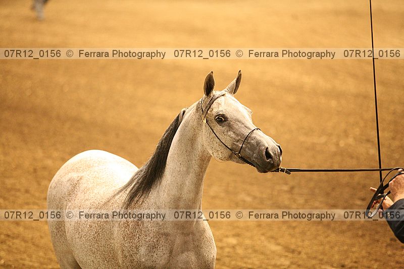 Proof 07r12_0156