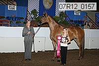 07r12_0157 proof