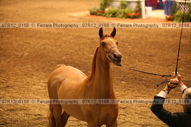 Proof 07r12_0168