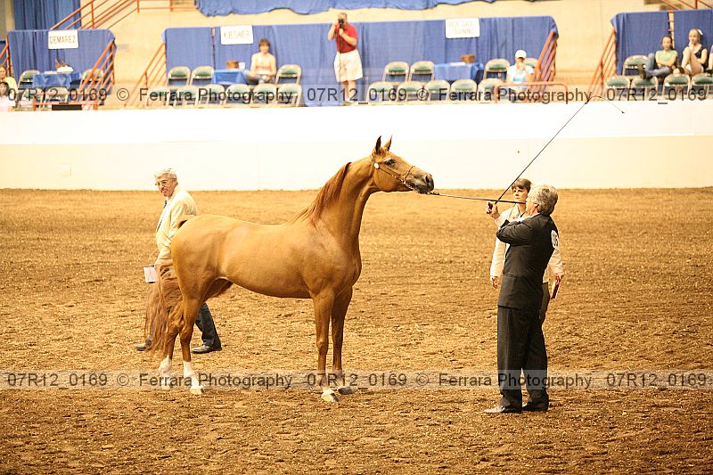 Proof 07r12_0169