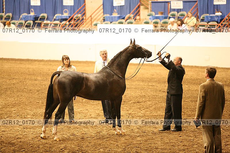 Proof 07r12_0170
