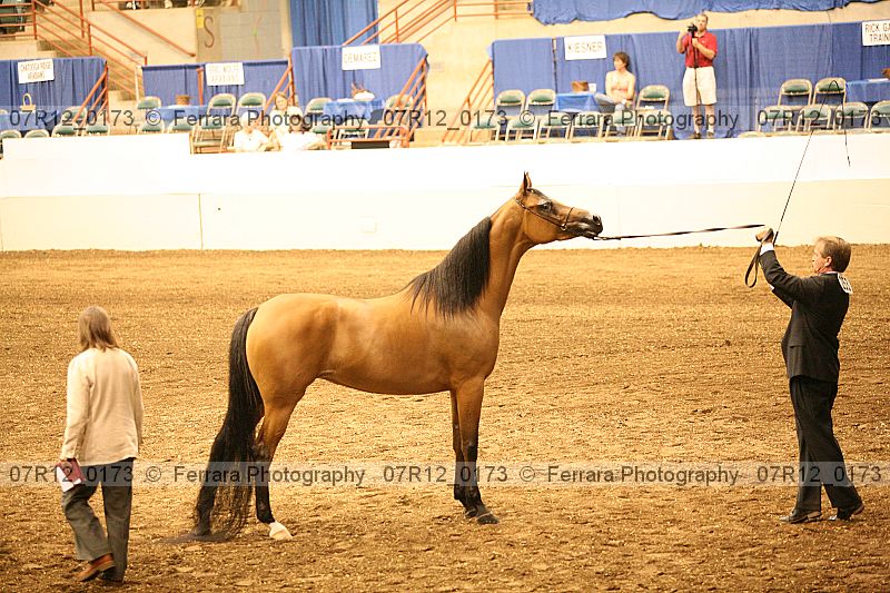 Proof 07r12_0173