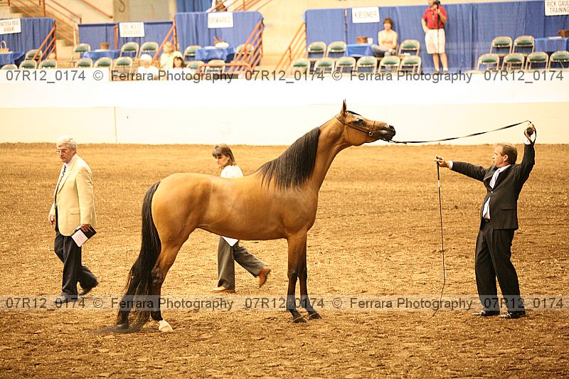 Proof 07r12_0174