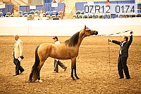 07r12_0174 proof