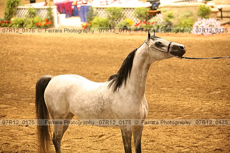 Proof 07r12_0175