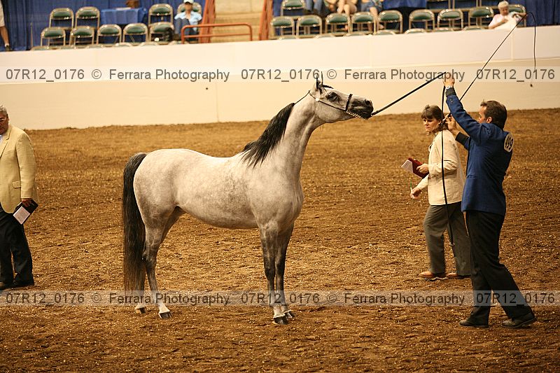 Proof 07r12_0176