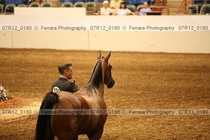 Proof 07r12_0180