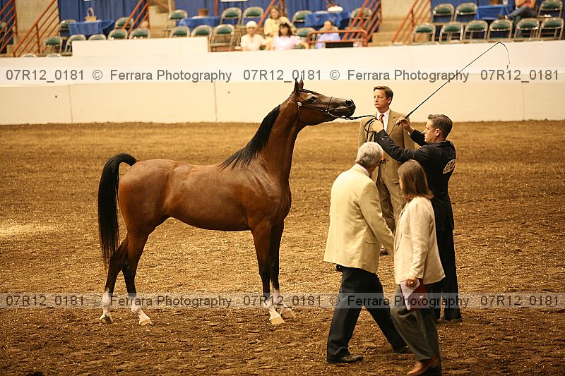 Proof 07r12_0181