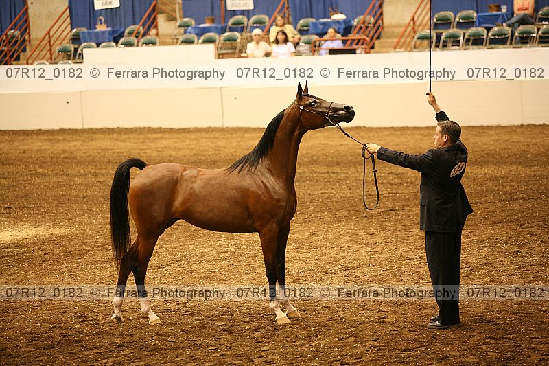Proof 07r12_0182