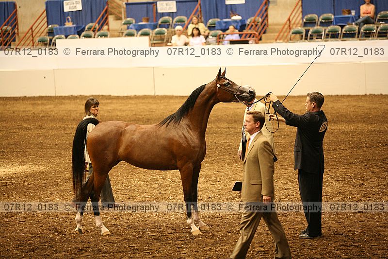 Proof 07r12_0183