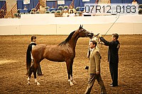 07r12_0183 proof