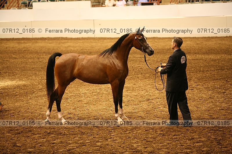 Proof 07r12_0185