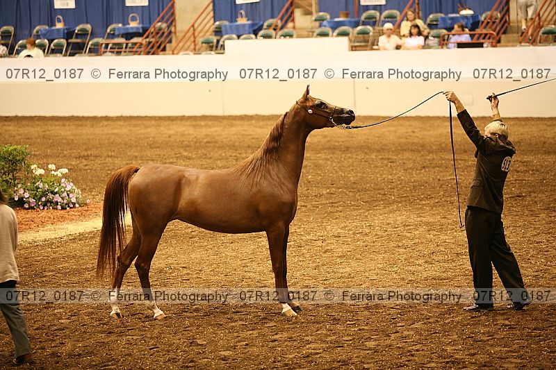 Proof 07r12_0187