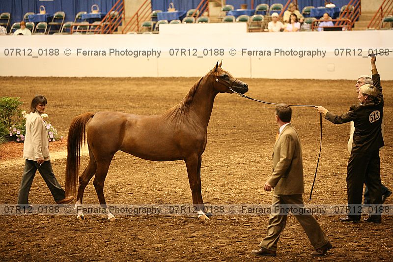 Proof 07r12_0188