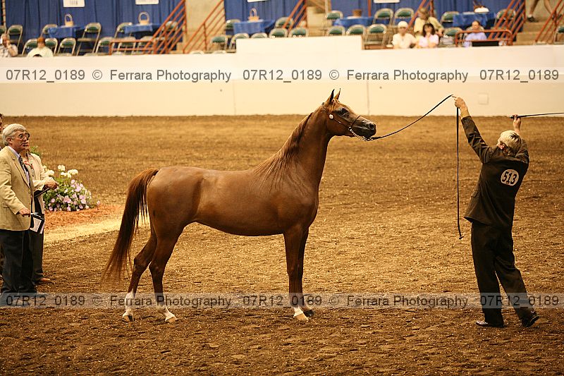 Proof 07r12_0189