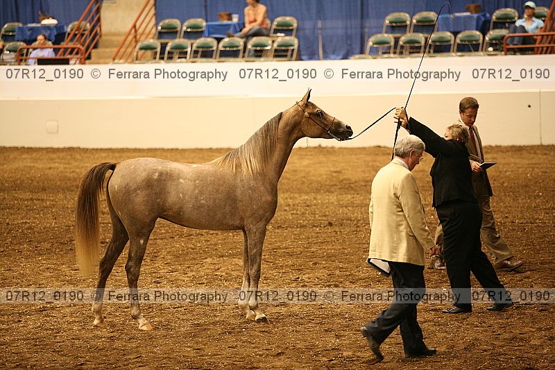 Proof 07r12_0190