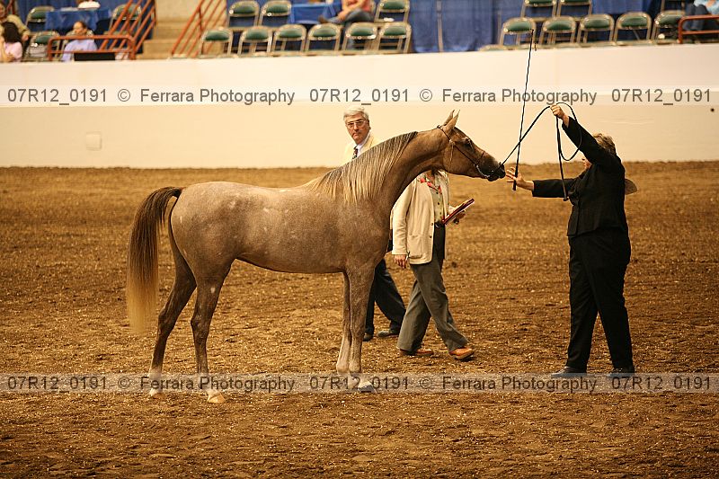 Proof 07r12_0191