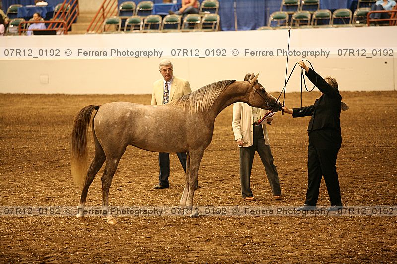 Proof 07r12_0192