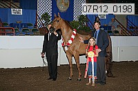 07r12_0198 proof