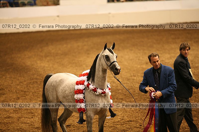 Proof 07r12_0202
