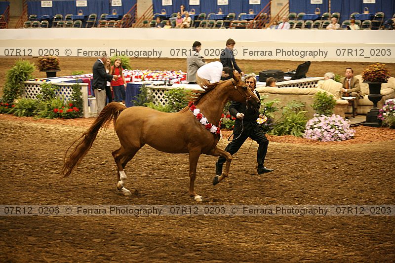 Proof 07r12_0203